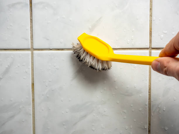 Best Certified Mold Removal  in Mulino, OR