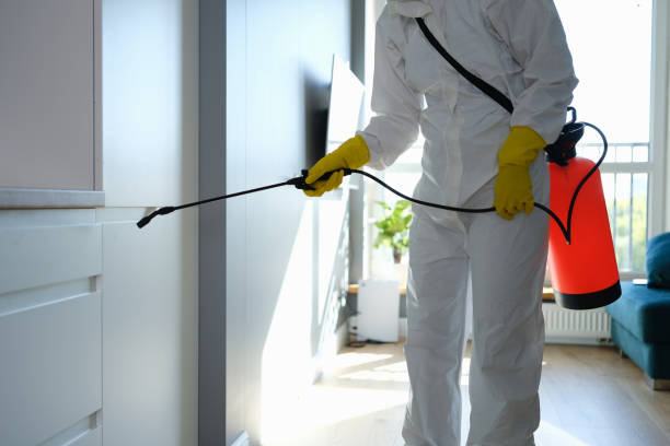 Best Home Mold Removal  in Mulino, OR