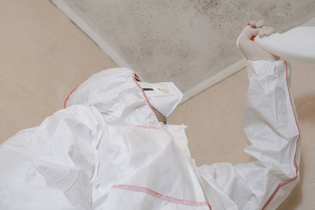 Best Mold Testing  in Mulino, OR