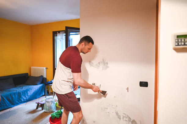 Best Residential Mold Removal  in Mulino, OR