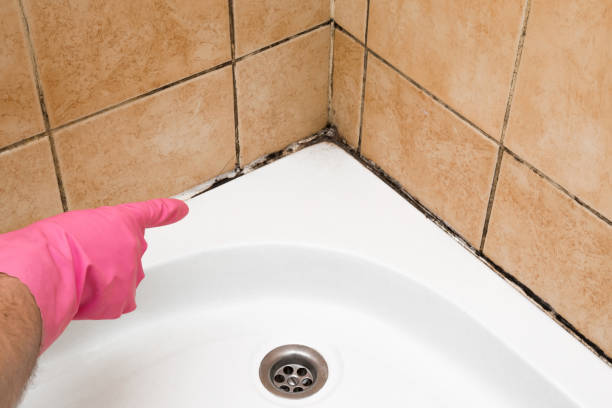 Best Mold Remediation Services  in Mulino, OR